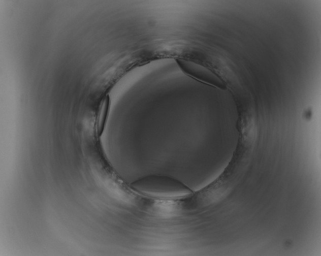 X0000111160231200907211234