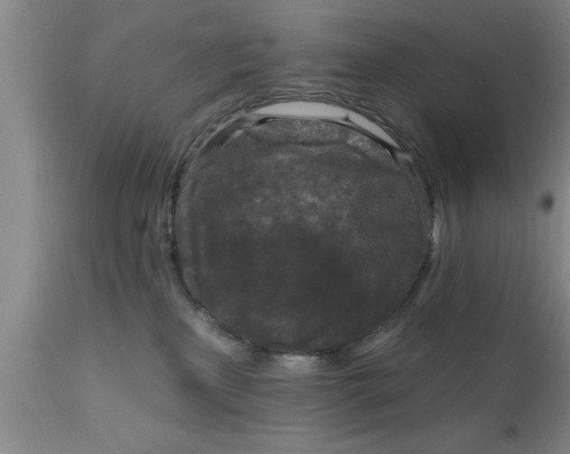 X0000111160233200907211234