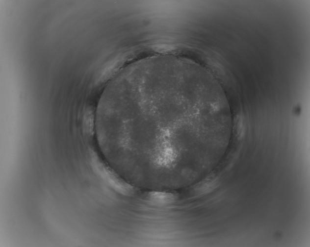 X0000111160234200907211234