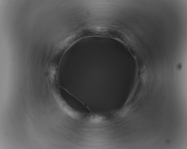 X0000111160235200907211234