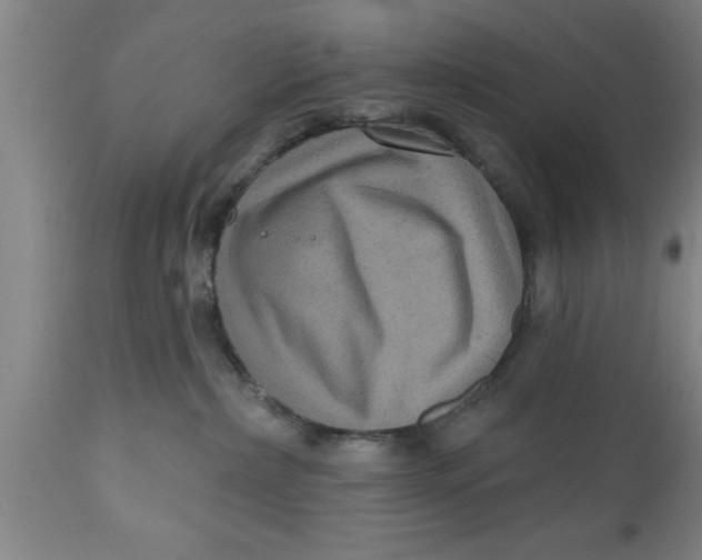 X0000111160236200907211234