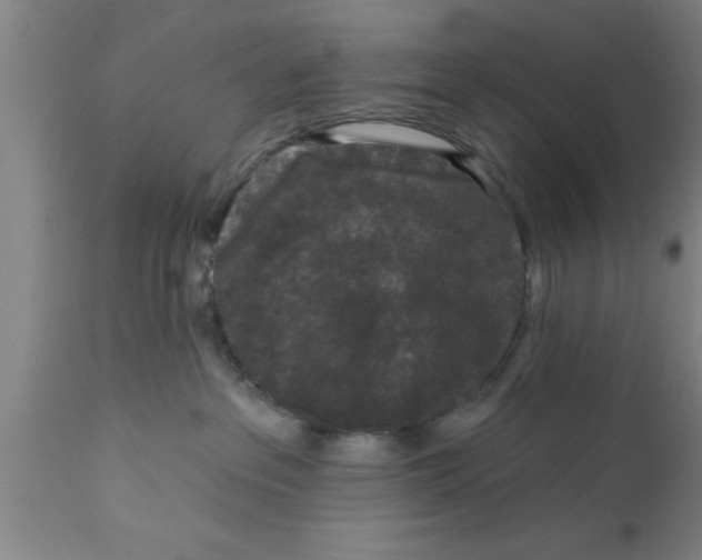 X0000111160237200907211234