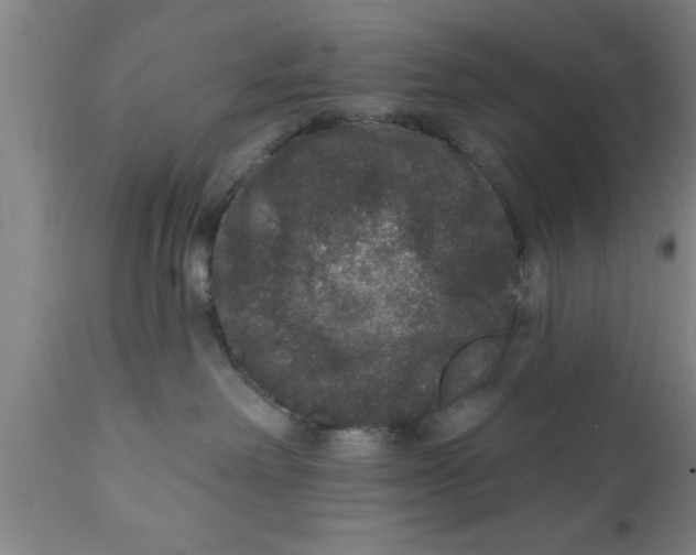 X0000111160238200907211234