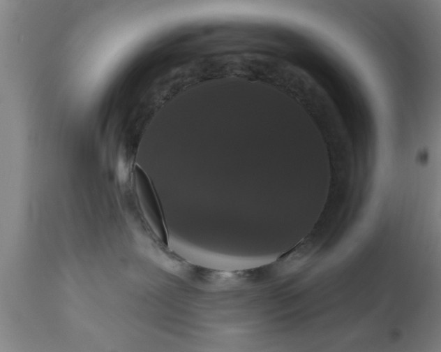 X0000111160239200907211234