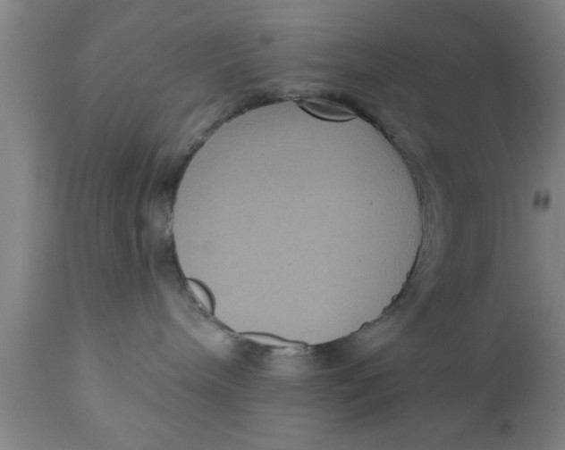 X0000111160240200907211234