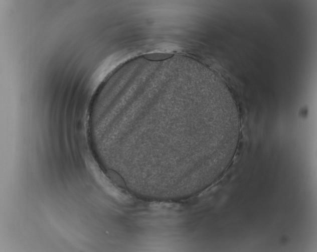 X0000111160242200907211233