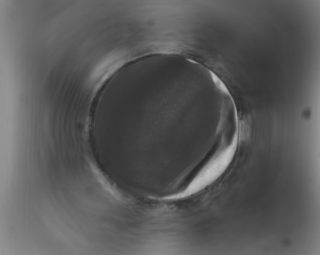 X0000111160243200907211233