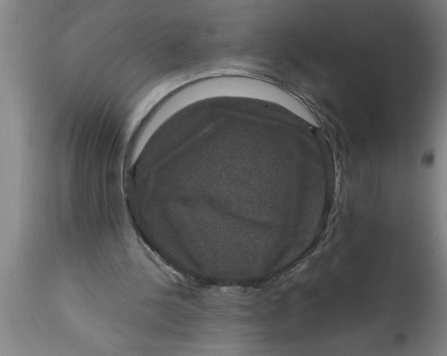 X0000111160244200907211233