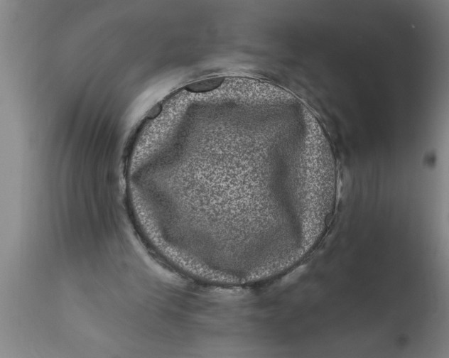 X0000111160245200907211233