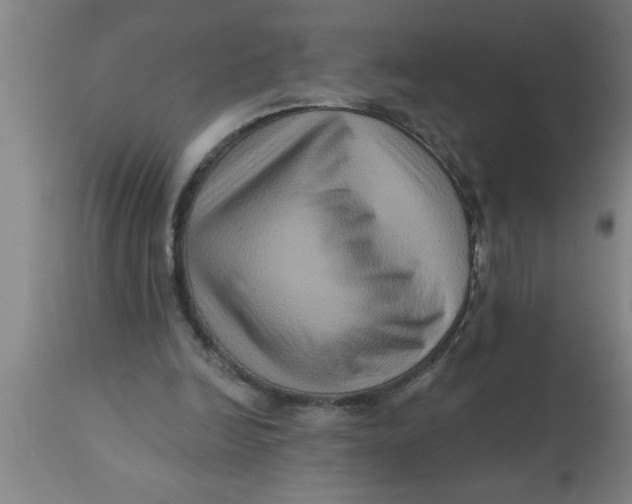 X0000111160246200907211233