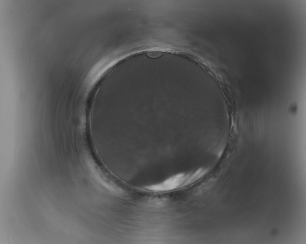 X0000111160247200907211233