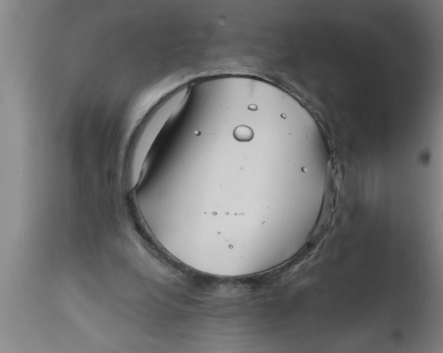 X0000111160248200907211233