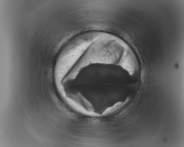 X0000111160249200907211233