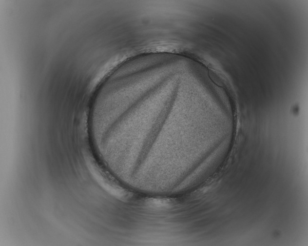 X0000111160250200907211233