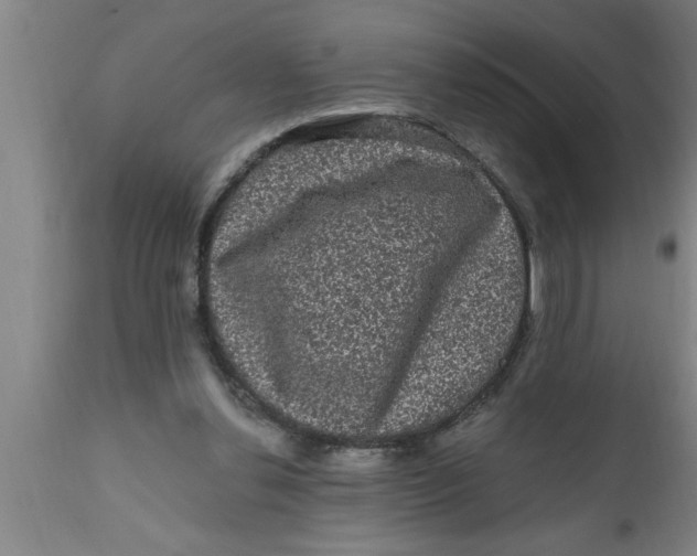 X0000111160252200907211234