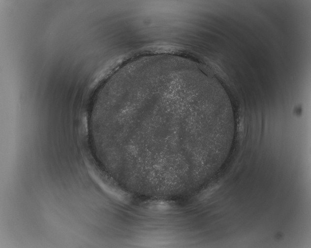 X0000111160254200907211234