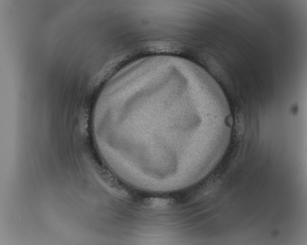 X0000111160255200907211234