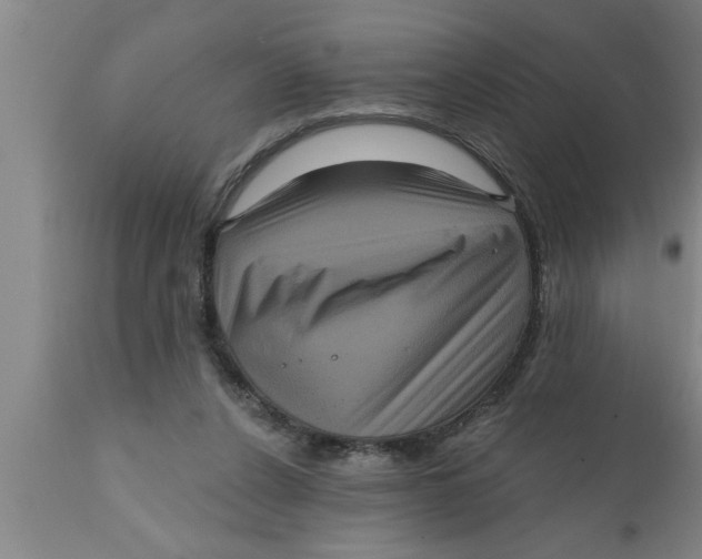 X0000111160256200907211234