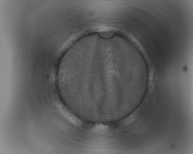 X0000111160257200907211234