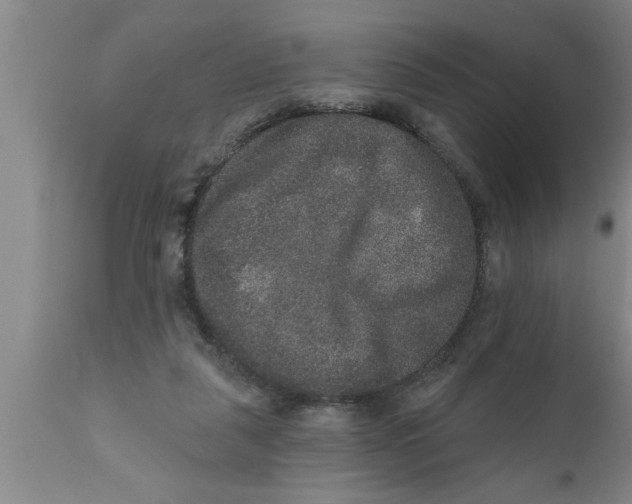 X0000111160259200907211234