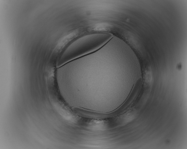 X0000111160260200907211234