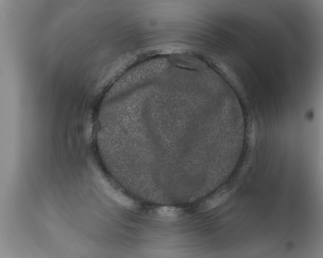 X0000111160261200907211234