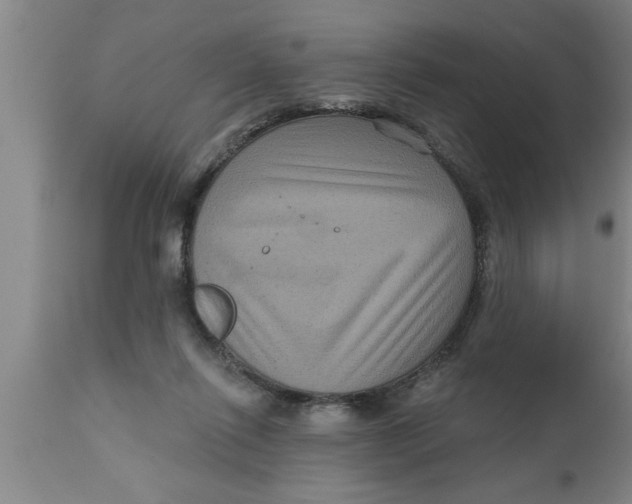 X0000111160262200907211234