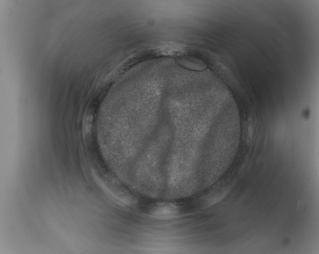 X0000111160263200907211234