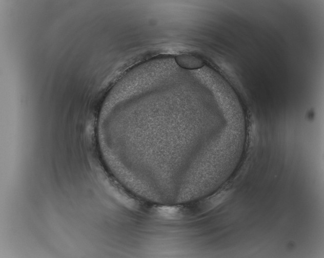 X0000111160265200907211234