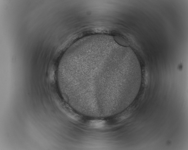 X0000111160266200907211234