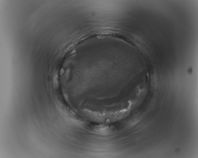 X0000111160267200907211234