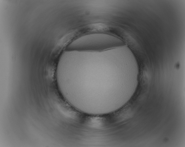 X0000111160268200907211234