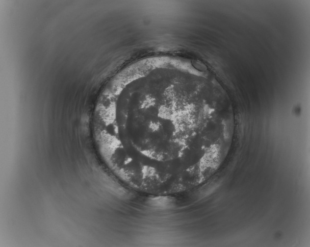 X0000111160269200907211234