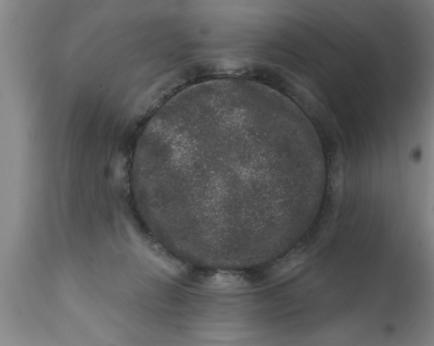 X0000111160270200907211234