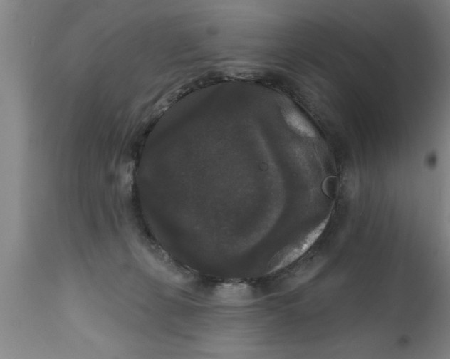 X0000111160271200907211234