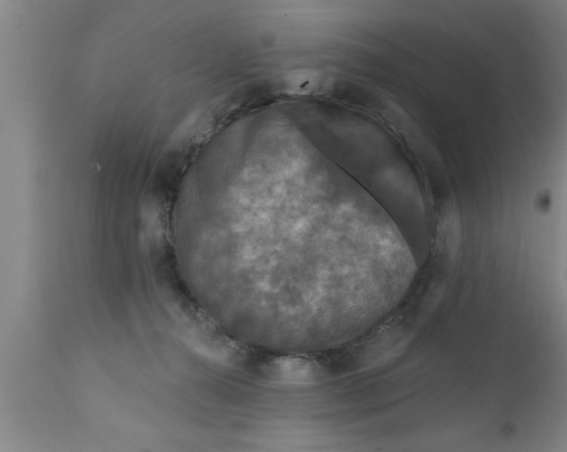 X0000111160272200907211234