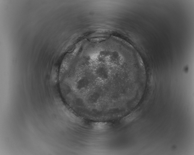 X0000111160273200907211234