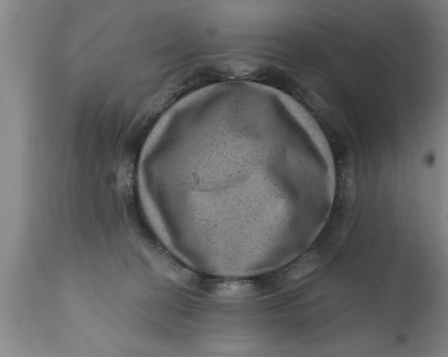 X0000111160274200907211234