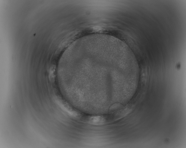 X0000111160275200907211234