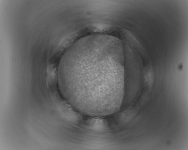 X0000111160276200907211234