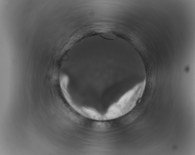 X0000111160277200907211234