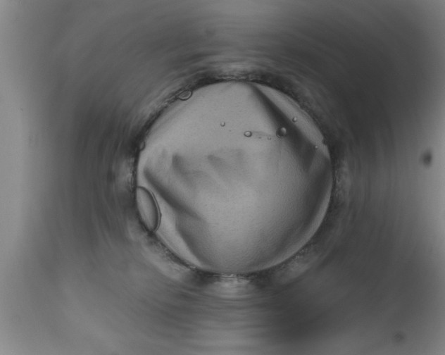 X0000111160278200907211234