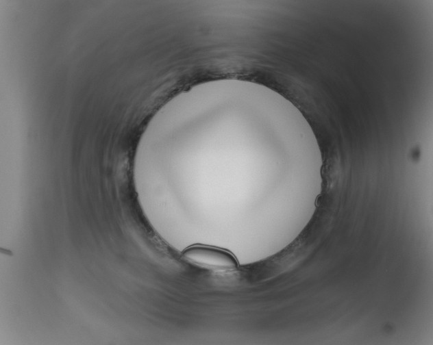 X0000111160279200907211234