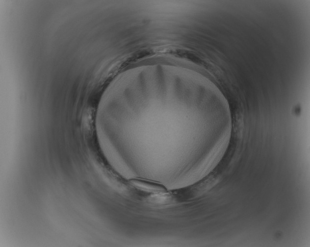 X0000111160280200907211234