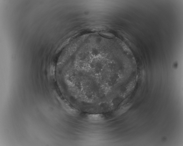 X0000111160281200907211234