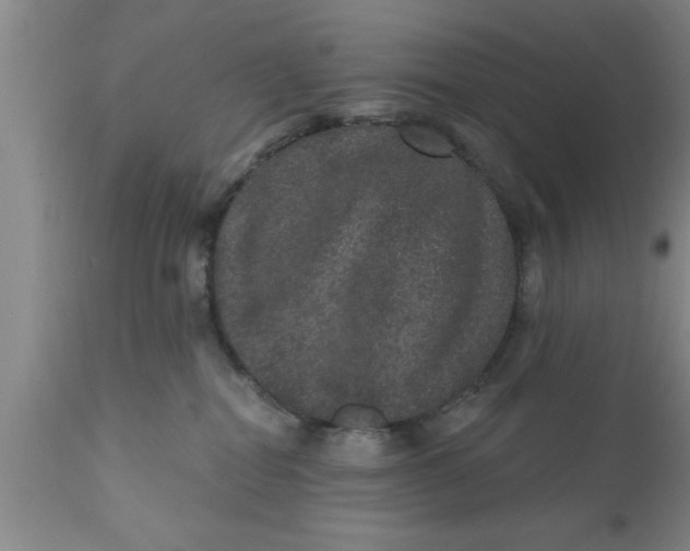 X0000111160282200907211234