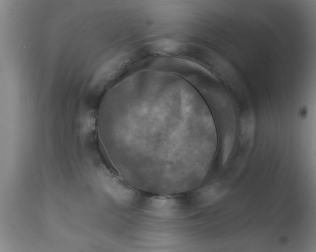 X0000111160284200907211234