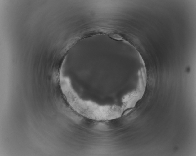 X0000111160285200907211234