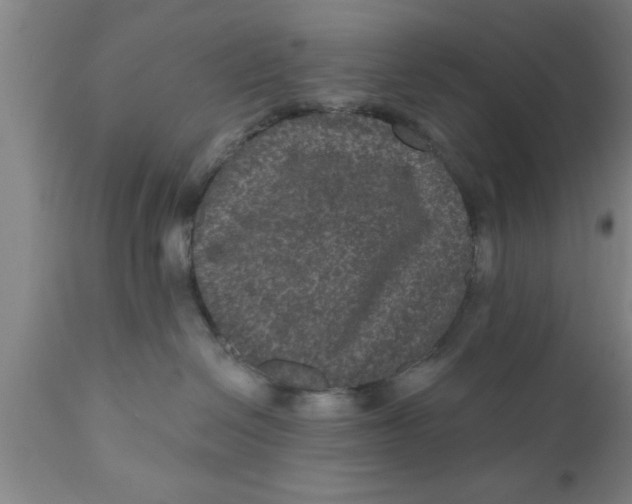 X0000111160286200907211234