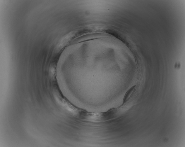 X0000111160288200907211234